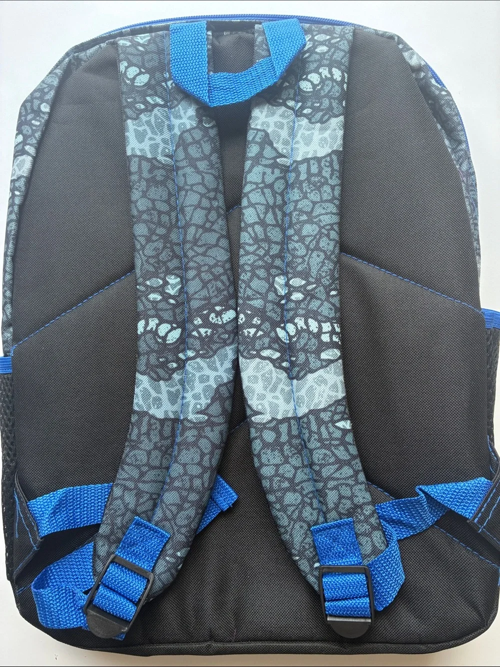 Jurassic World Kids Backpack with Matching Lunch Tote